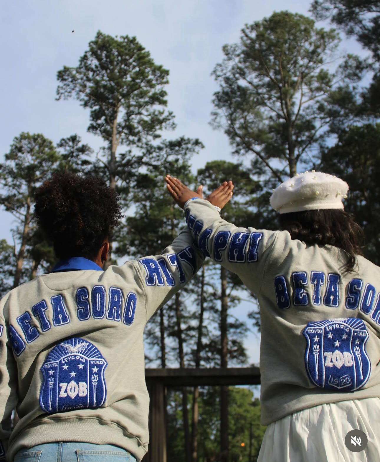 Zeta Phi Beta Sorority, Inc. Chenille Back Design Sweatshirt (heather grey)