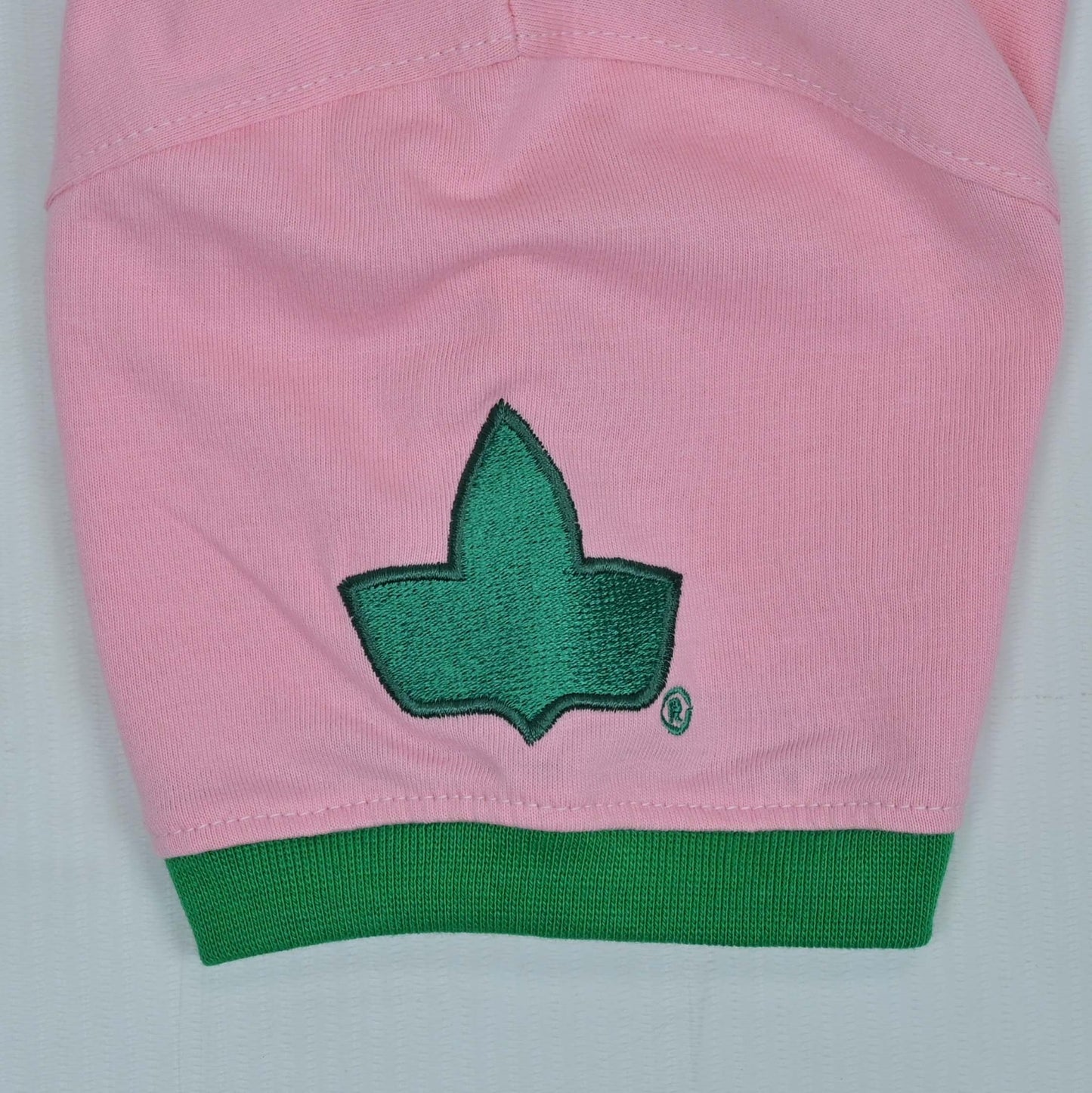 AKA Future Legacy T-shirt(pink)