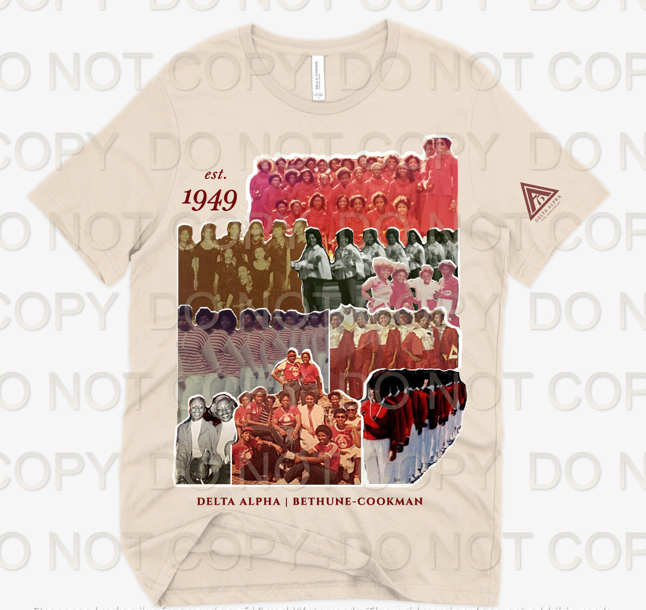 BETHUNE COOKMAN VINTAGE T-SHIRT