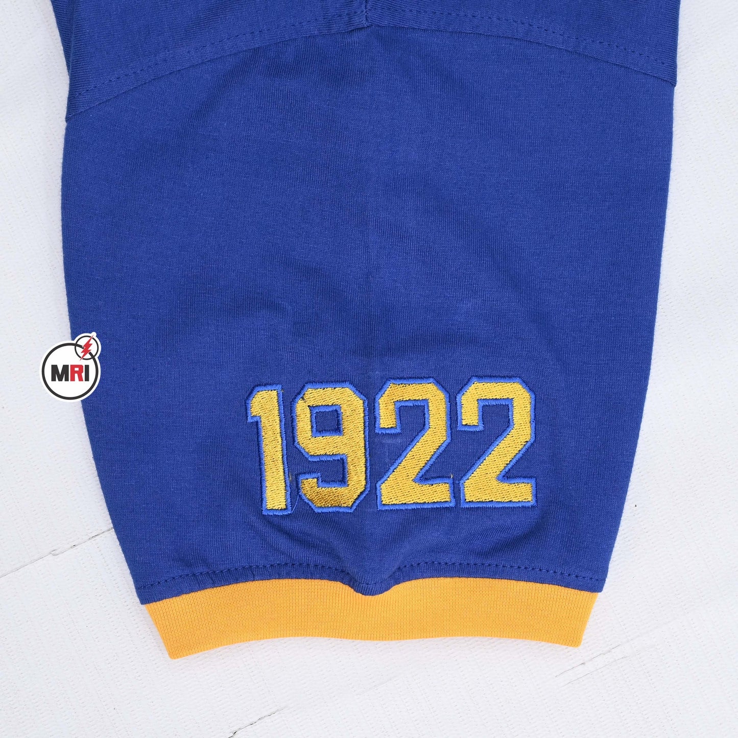 Sigma Gamma Rho Sorority, Inc. Legacy T-shirt (blue)